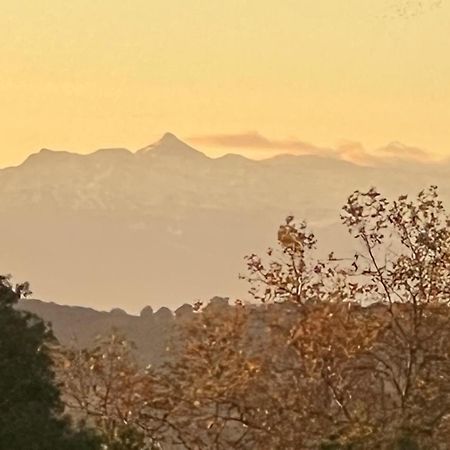 Villa Gite 4/6 Personnes La Melodie Du Bonheur à Habas Extérieur photo