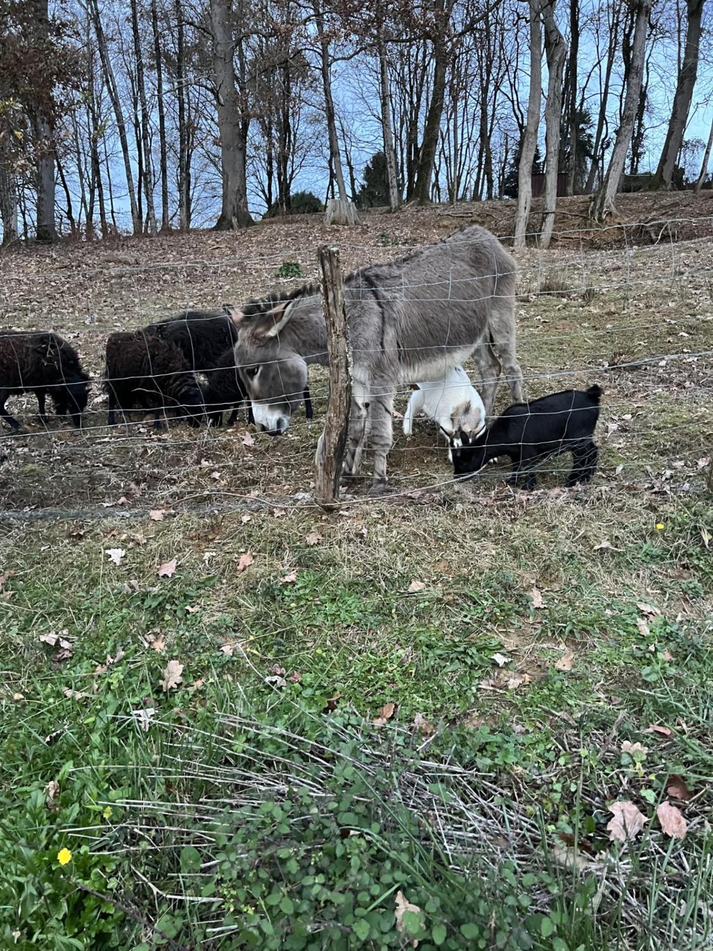 Villa Gite 4/6 Personnes La Melodie Du Bonheur à Habas Extérieur photo